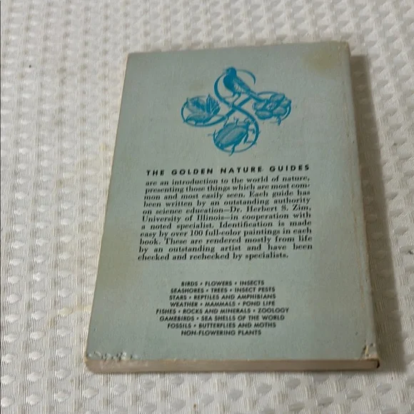 Red and Green Bird Guide Vibrant Illustrations - Picture 2 of 3